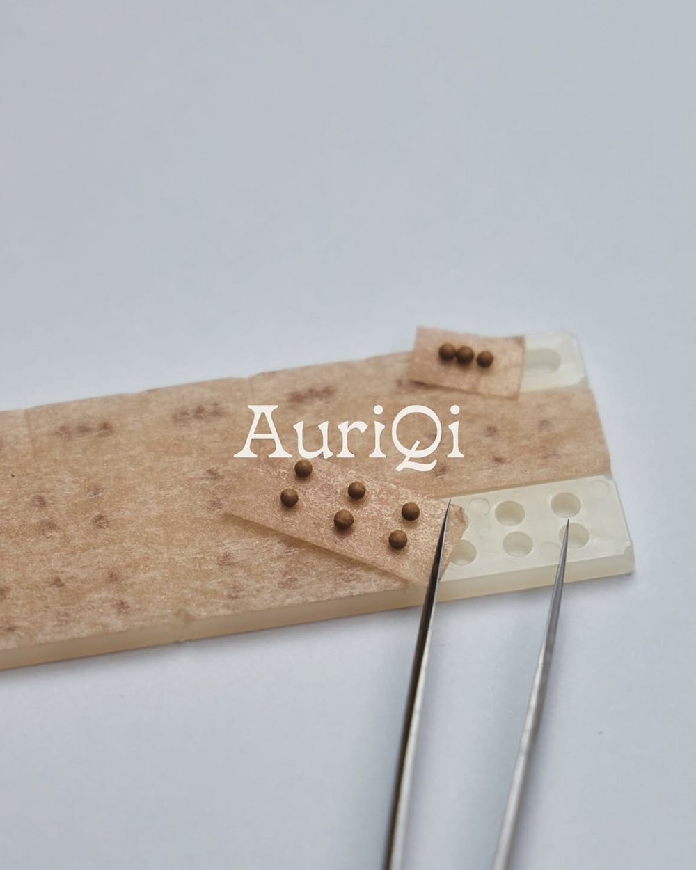 UTG + AuriQi<BR> Easeed<br> <font color=#82C7E4 size="1.9" face=verdana>(10/12~10/16)</font>